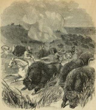 The buffalo hunt was central to Metis life throughout their history