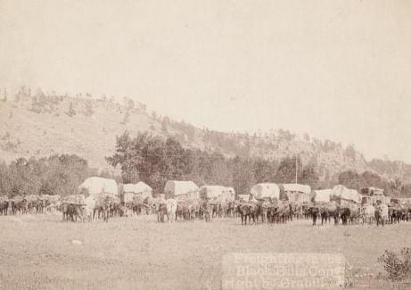 An American wagon train